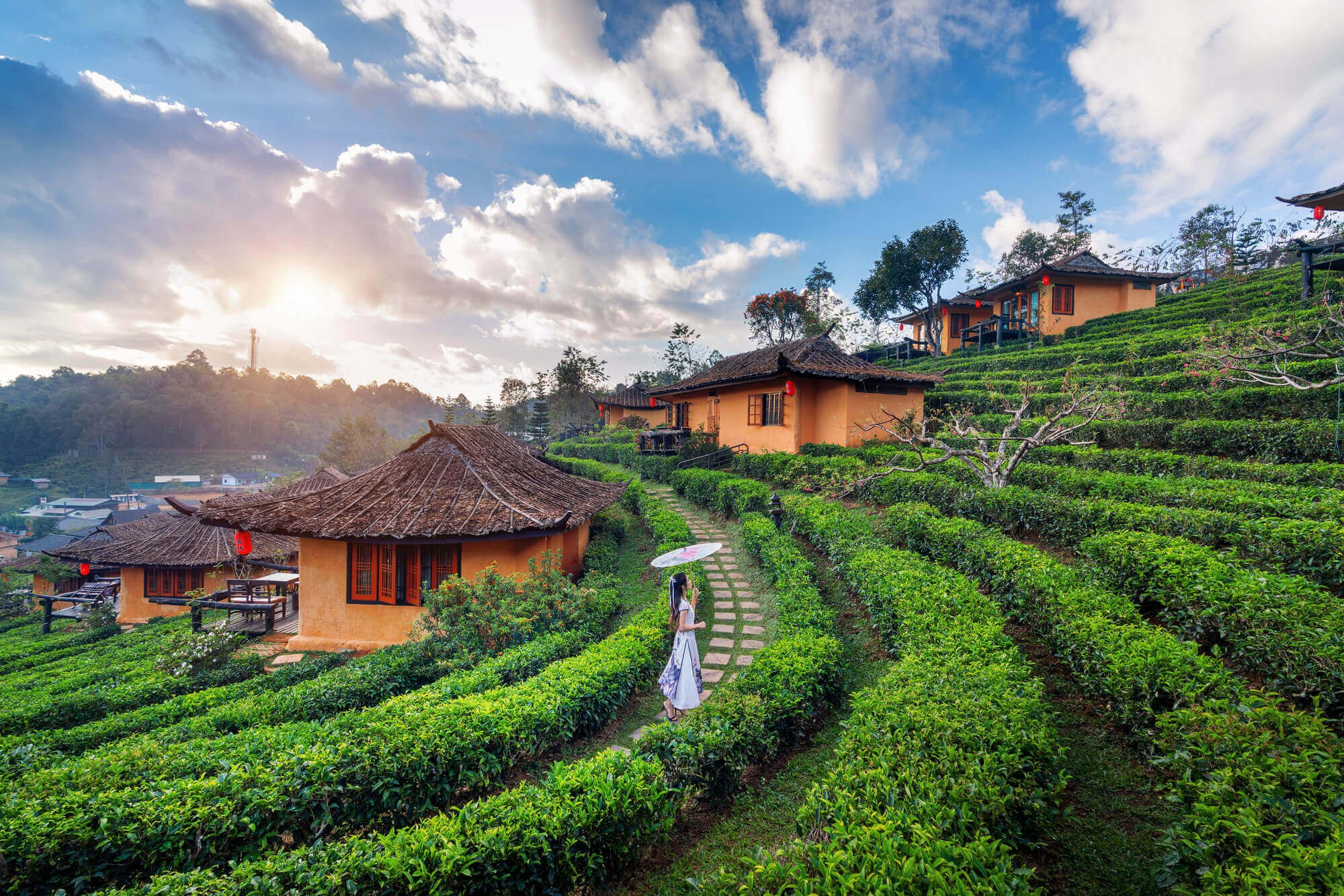 Farmhouse Kerala